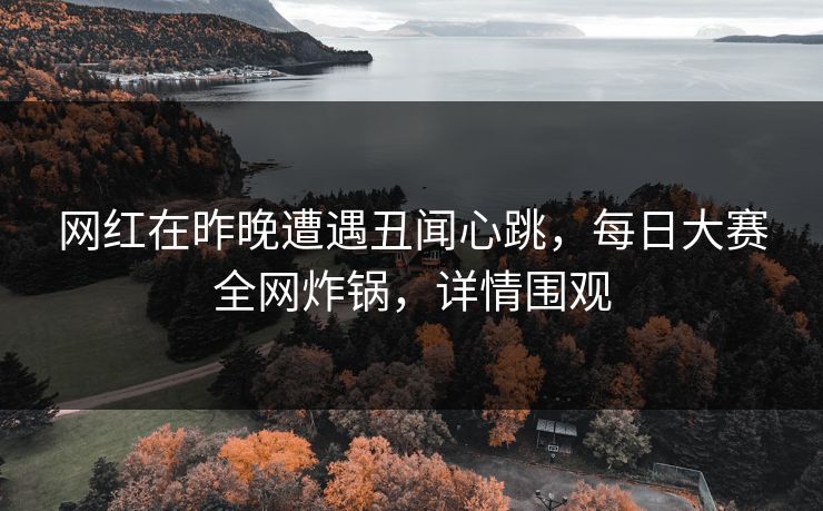 网红在昨晚遭遇丑闻心跳，每日大赛全网炸锅，详情围观