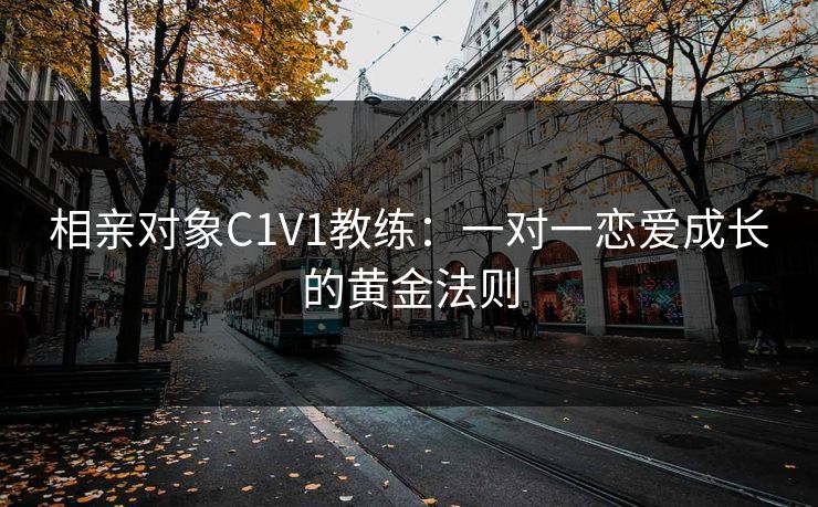 相亲对象C1V1教练：一对一恋爱成长的黄金法则